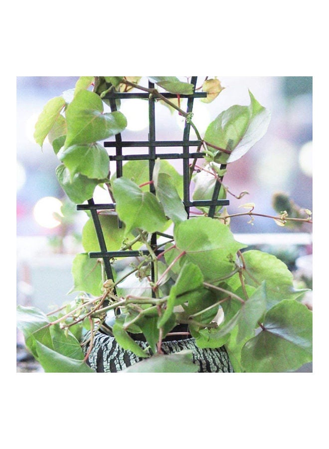 ماركة غير محددة Climbing Plants Support Green 25.00x2.50x15.00cm  - Image 2