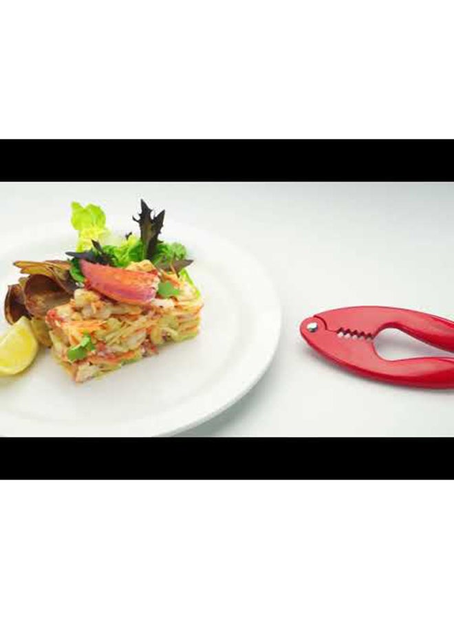 تسكوما مقرمشات شلفيش أحمر 24x10x2.5سم - Image 3