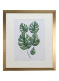 سويتش outer frame size: L46xH53cm xT1.8cm for photo size: 12x16
