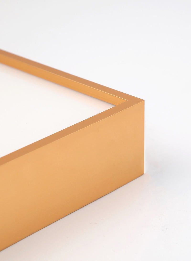 سويتش - إطار صورة مزود بإطار خارجي ذهبي غير لامع outer frame size: L62xH77xT3.5cm for photo size: 18x24بوصة - Image 1