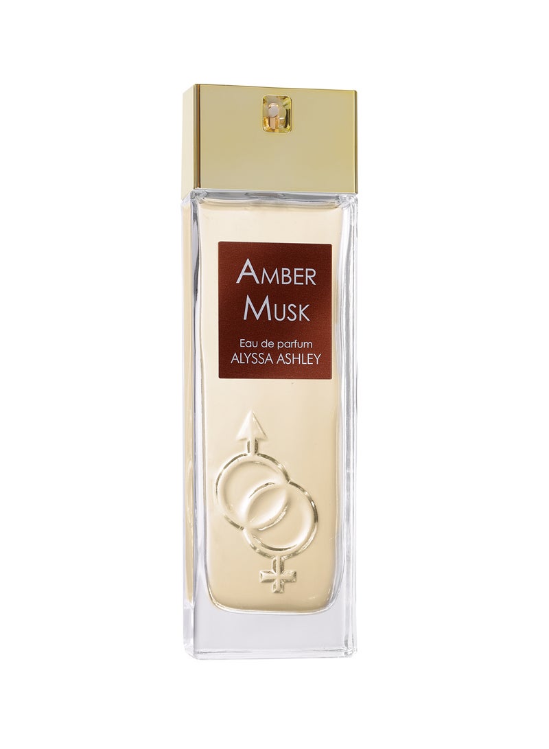 Amber Musk Eau De Parfum 100ml - v1635831785/N51065357A_1