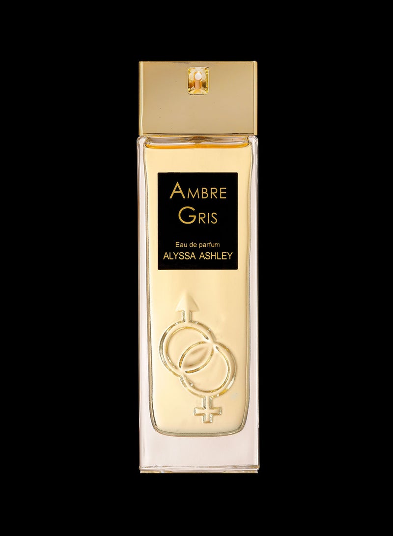 ALYSSA ASHLEY Ambre Gris EDP 100ml  - Image 1