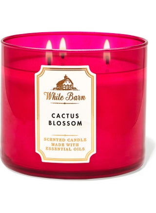 Cactus Blossom 3-Wick Candle Pink - v1635843097/N51674216A_2