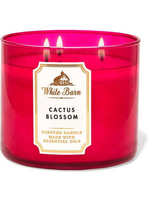 Cactus Blossom 3-Wick Candle Pink