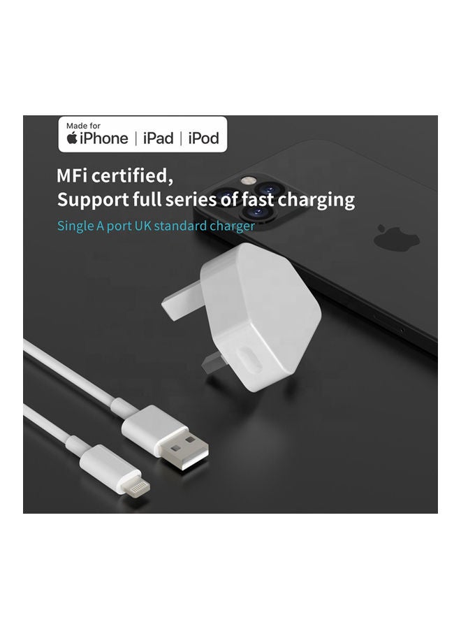 Black Tiger - Wall Charger With Lightning Cable White - Image 1