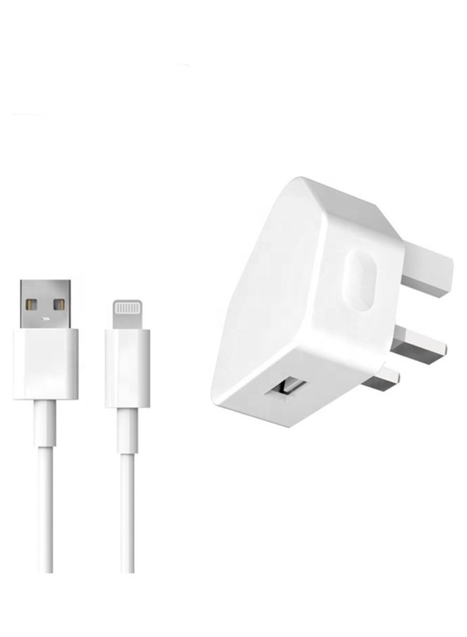 Black Tiger - Wall Charger With Lightning Cable White - Image 1