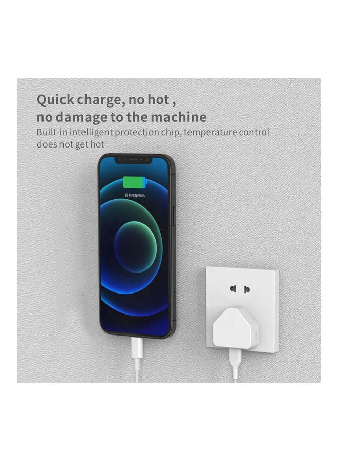 Black Tiger - Wall Charger With Lightning Cable White - Image 1