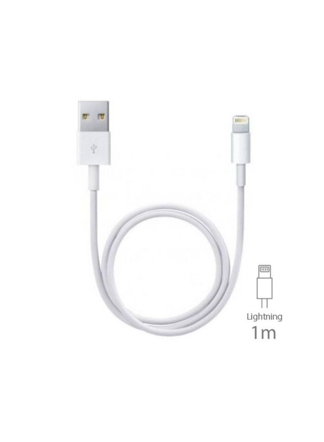 Black Tiger - Wall Charger With Lightning Cable White - Image 1