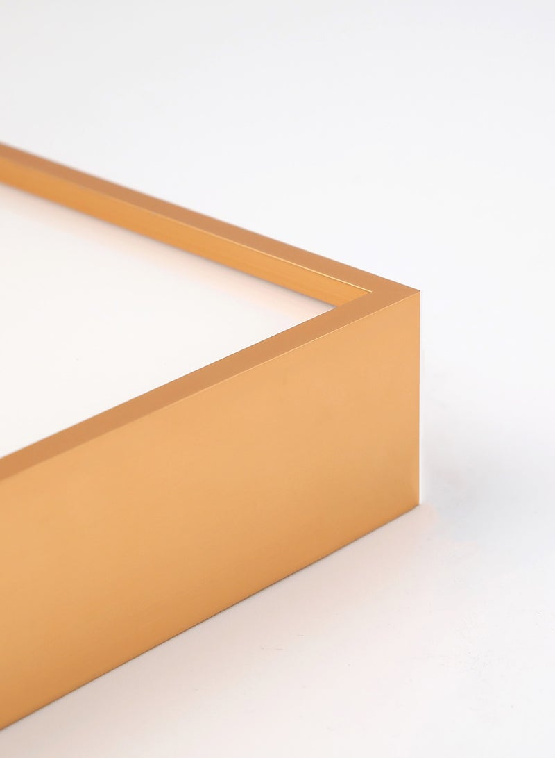 Switch - Wall Frames With Outer Frame Matte Gold outer frame size: L47xH62xT3.5cm for photo size: 12x18inch - Image 1