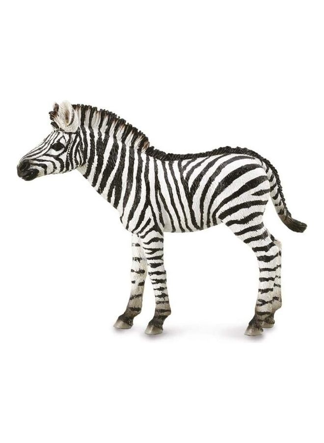 Collect zebra