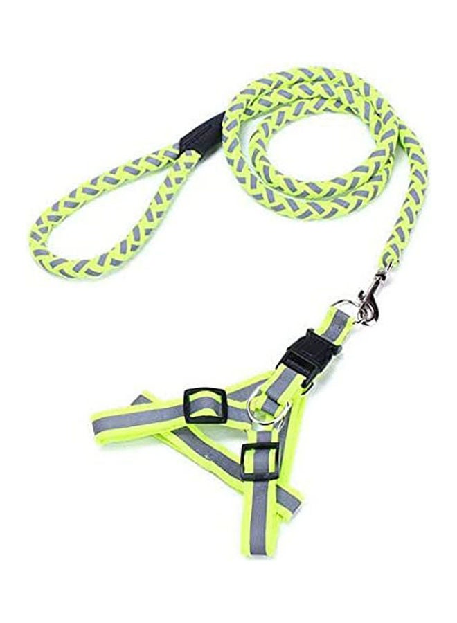 حزام ومقود للكلاب أخضر فاتح - رمادي Mسم