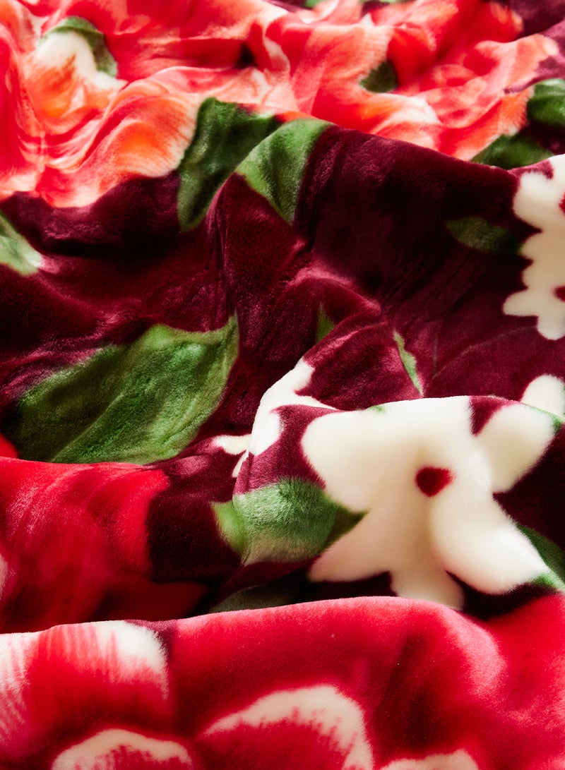 Echolac Korean Made Blanket polyester Multicolour 160x220cm - Image 3