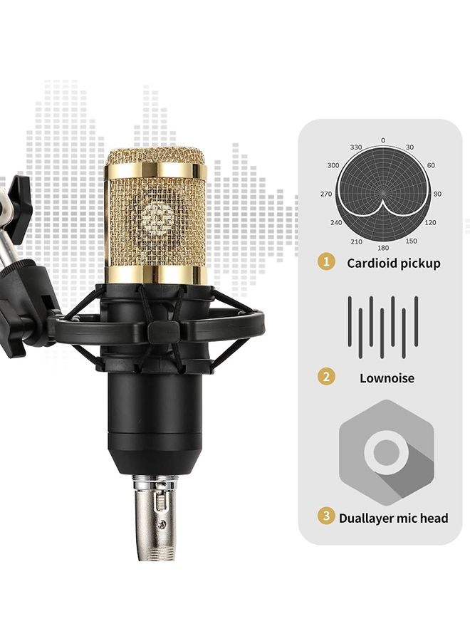 Arabest - Professional Condenser Microphone With V8S Live Sound Card And Studio Recording Broadcasting Set Black/Gold - Image 1