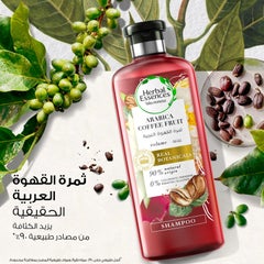 Bio:Renew Volume Arabica Coffee Fruit Shampoo +  Conditioner 400ml 400ml - v1636560180/N51815705A_10