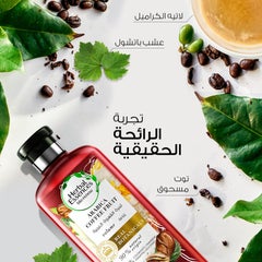 Bio:Renew Volume Arabica Coffee Fruit Shampoo +  Conditioner 400ml 400ml - v1636560180/N51815705A_11