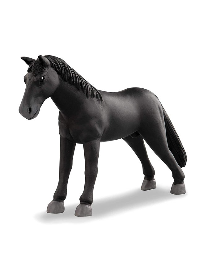 تيرا - طقم حصان 6 قطع ألوان مختلفة 12.7×12.7×12.7 سم 12.7x12.7x12.7سم - Image 2