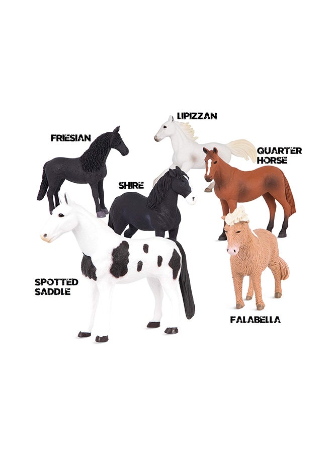 تيرا - طقم حصان 6 قطع ألوان مختلفة 12.7×12.7×12.7 سم 12.7x12.7x12.7سم - Image 4