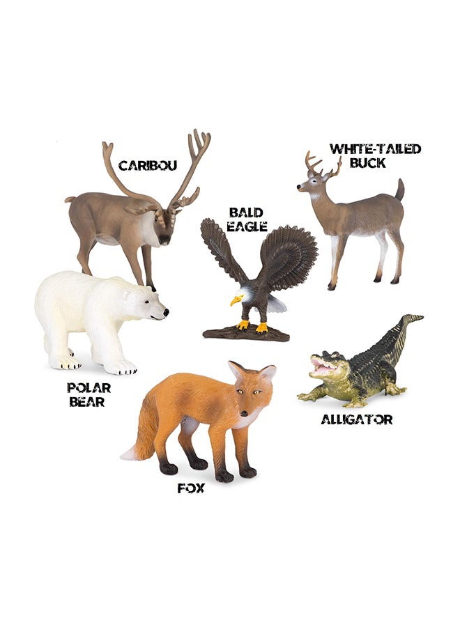 تيرا 6-Piece North American Animals Playset 5x5x5inch - Image 4