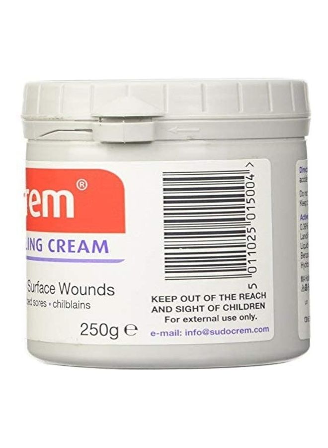 Sudocrem Pack of 2  Antiseptic Healing Cream 250g  - Image 2