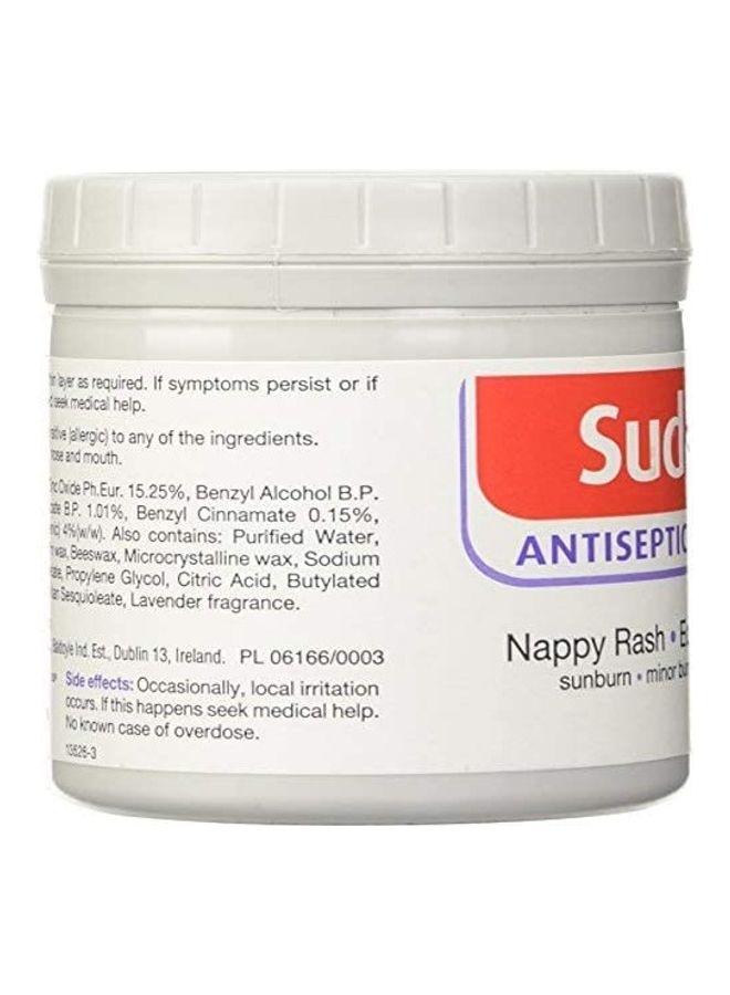 Sudocrem Pack of 2  Antiseptic Healing Cream 250g  - Image 4