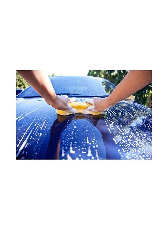 Formula 1 - Formula 1 ,473ml Carnauba Wash & Wax Liquid - Image 1