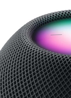 Apple Homepod Mini Space Gray  - Image 2