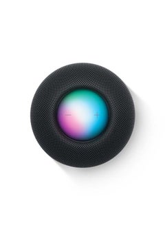 Apple Homepod Mini Space Gray  - Image 3
