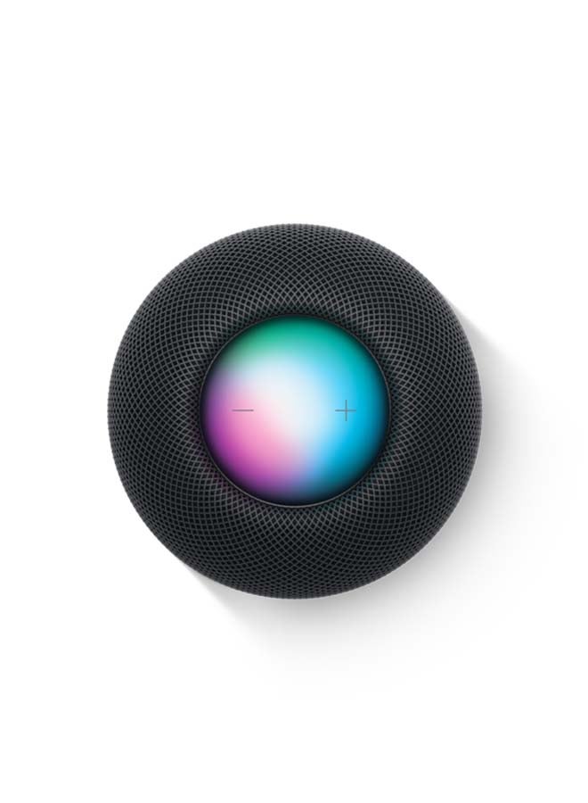 Apple - Homepod Mini Space Gray - Image 1