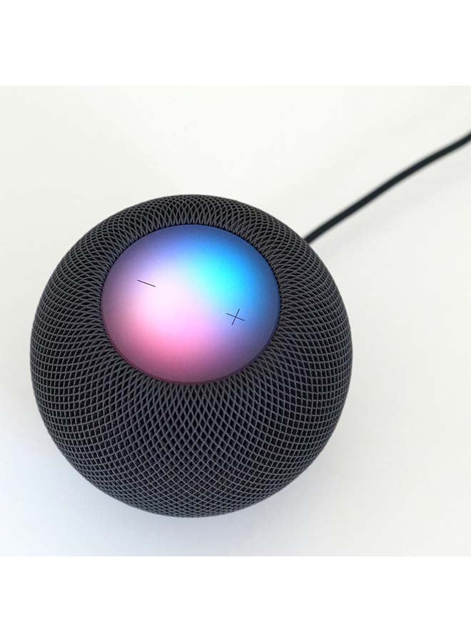 Apple - Homepod Mini Space Gray - Image 1