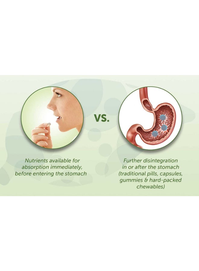 EZ Melts Melatonin 5 mg Natural Mint Flavor - Image 5