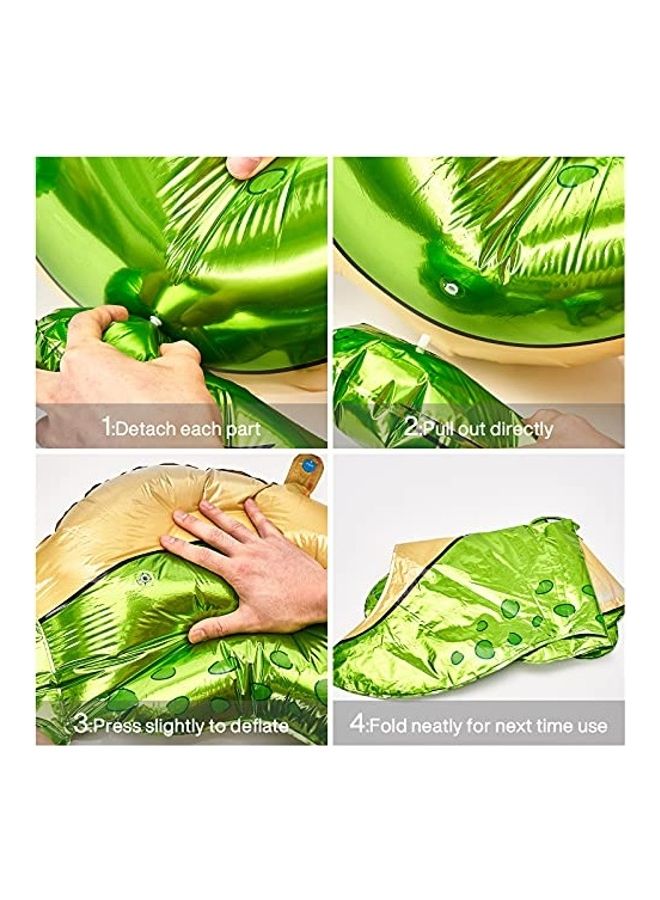Dinosaur Balloons