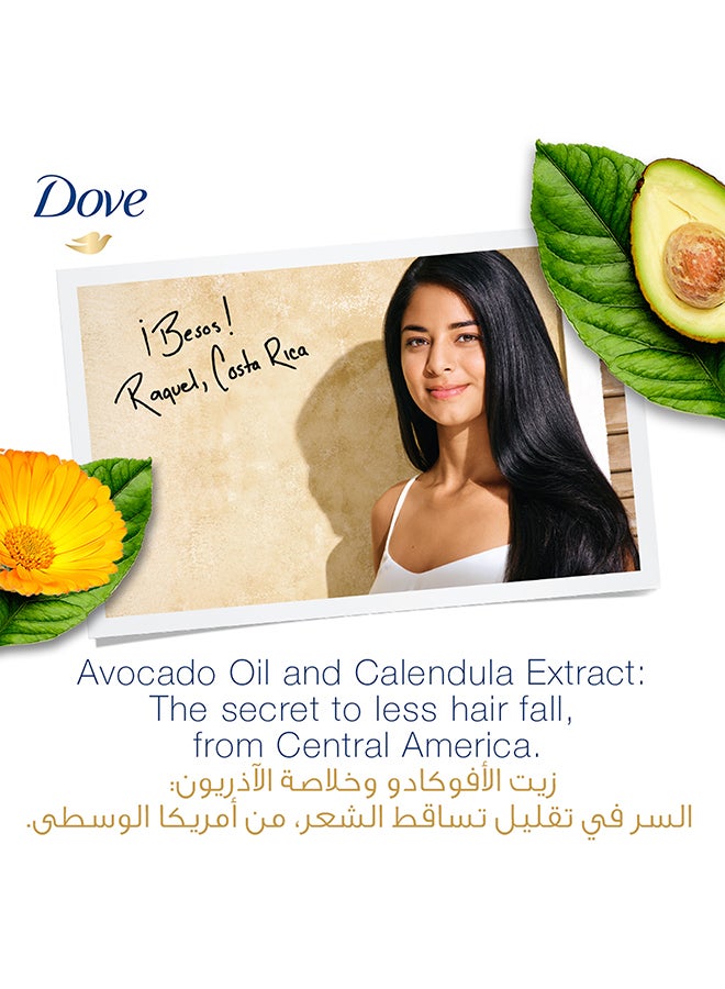 Dove - Shampoo Avocado Strength With Nourishing, Extracts Of Avocado Oil And Calendula 400ml - Image 1