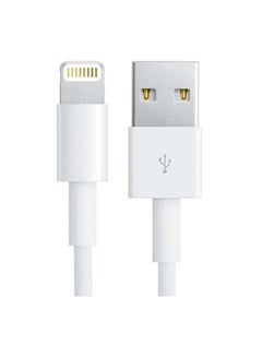 Apple Lightning to USB Cable (0.5 m) White  - Image 3