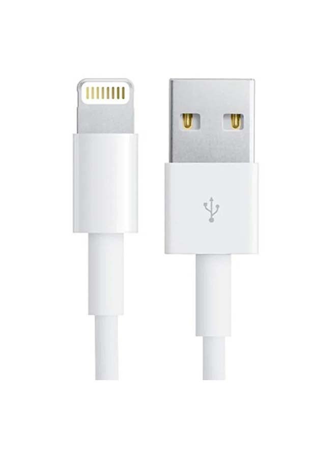 Apple - Lightning to USB Cable (0.5 m) White - Image 1