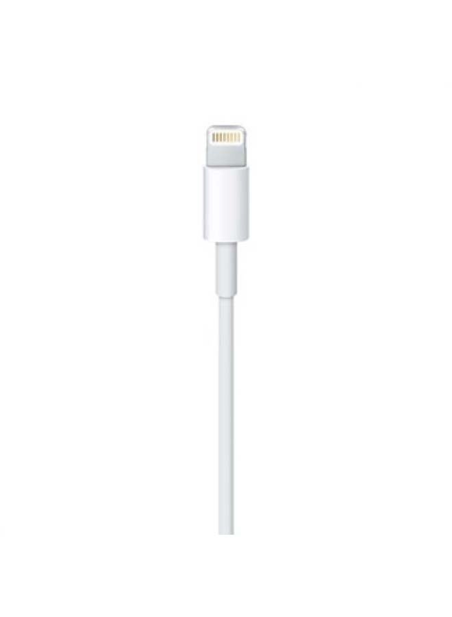 Apple - Lightning to USB Cable (0.5 m) White - Image 1