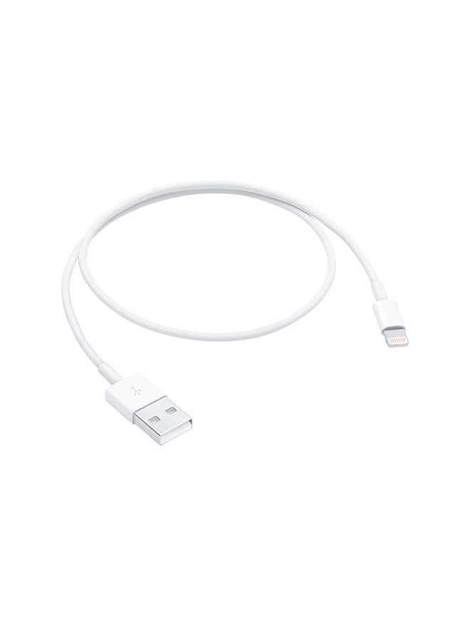 Apple - Lightning to USB Cable (0.5 m) White - Image 1
