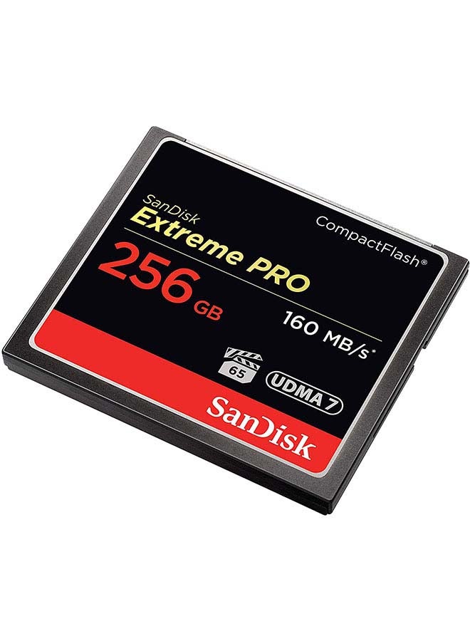 Sandisk - 256 GB Extreme PRO Read Speed 160 MBps Write Speed 90 MBps VPG 65, UDMA 7, SDCFXPS-256G-X46 256 GB - Image 1