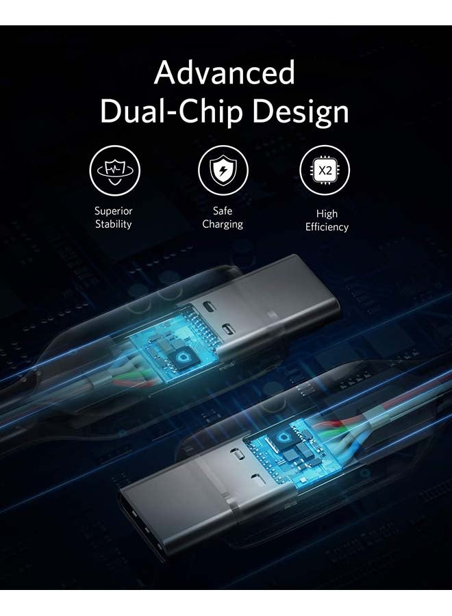 Anker - USB C Cable 60W, Anker Powerline III USB-C to USB-C Cable 2.0, USB C Charger Cable for MacBook Pro 2020, iPad Pro 2020, Switch, Galaxy S20 Plus S9 S8 Plus and Pixel Black/Silver - Image 1