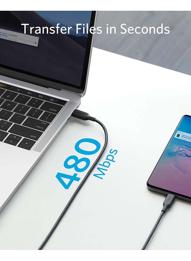 Anker - USB C Cable 60W, Anker Powerline III USB-C to USB-C Cable 2.0, USB C Charger Cable for MacBook Pro 2020, iPad Pro 2020, Switch, Galaxy S20 Plus S9 S8 Plus and Pixel Black/Silver - Image 1