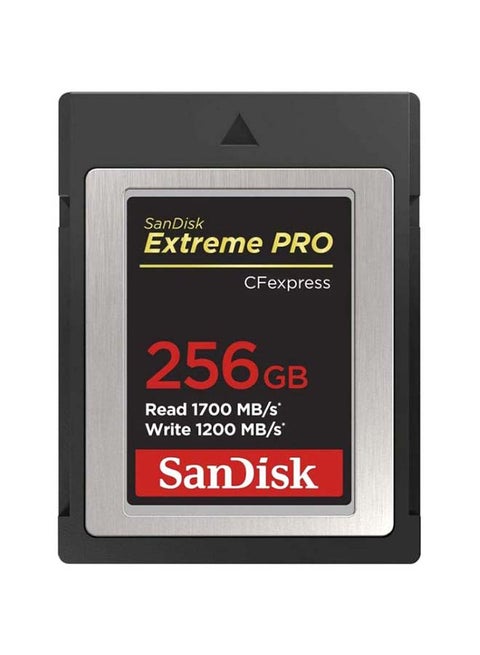 Extreme PRO CFexpress Card Type B,UHS-I, Read Speed 100 MBps, Write 90 MBps, SDCFE-256G-GN4NN 256 GB