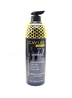 CAVIAR Caviar Active Charcoal Shampoo 850ml 
