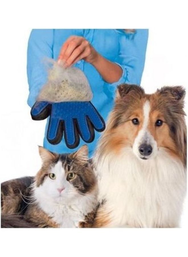 قفاز لإزالة شعر الحيوانات الأليفة أزرق/أسود - Image 4