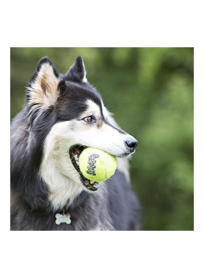 كونج لعبة كرات تنس للكلاب متعدد الألوان 6.35سم - Image 2