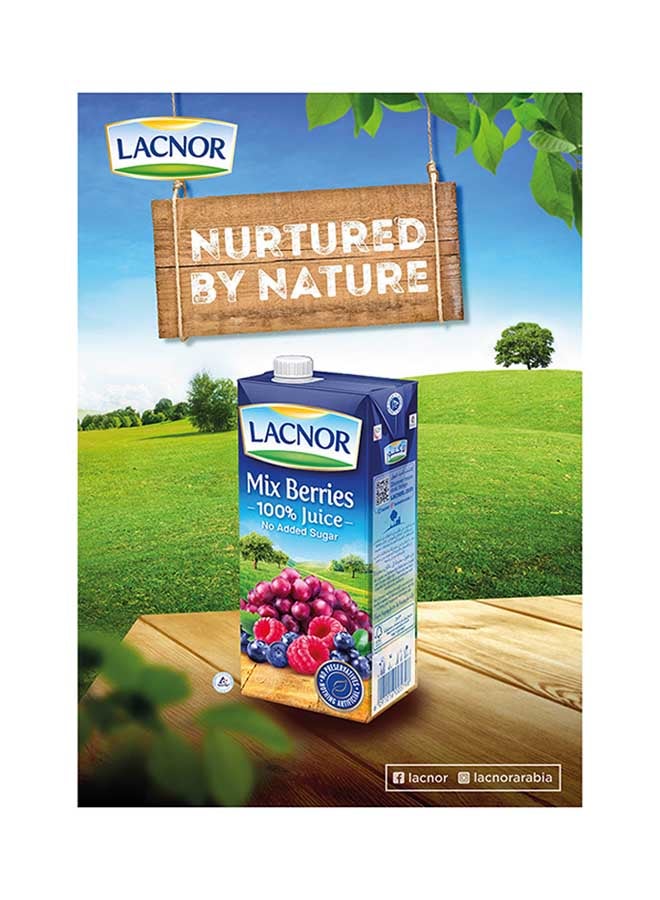 Lacnor Essentials Mix Berries 100 Percent Juice With No Added Sugar Mixed Berries 1Liters  - Image 3