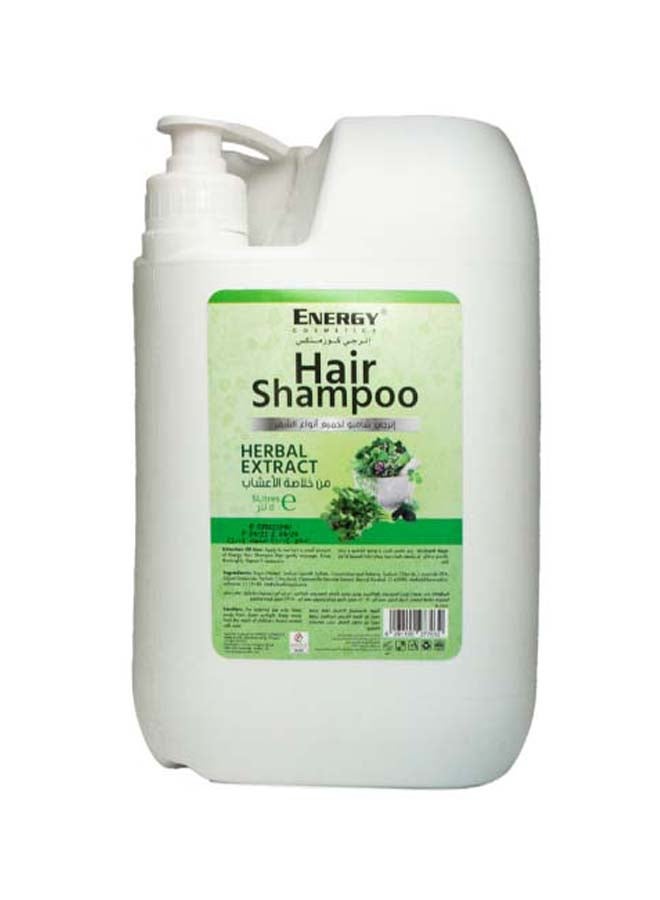 إنيرجي كوزماتيكس شامبو الشعر بخلاصة الأعشاب - Image 1