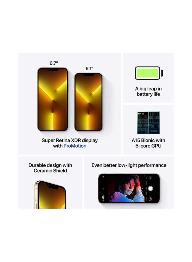 Apple iPhone 13 Pro Max 512GB Gold 5G With FaceTime - UAE Version  - Image 5