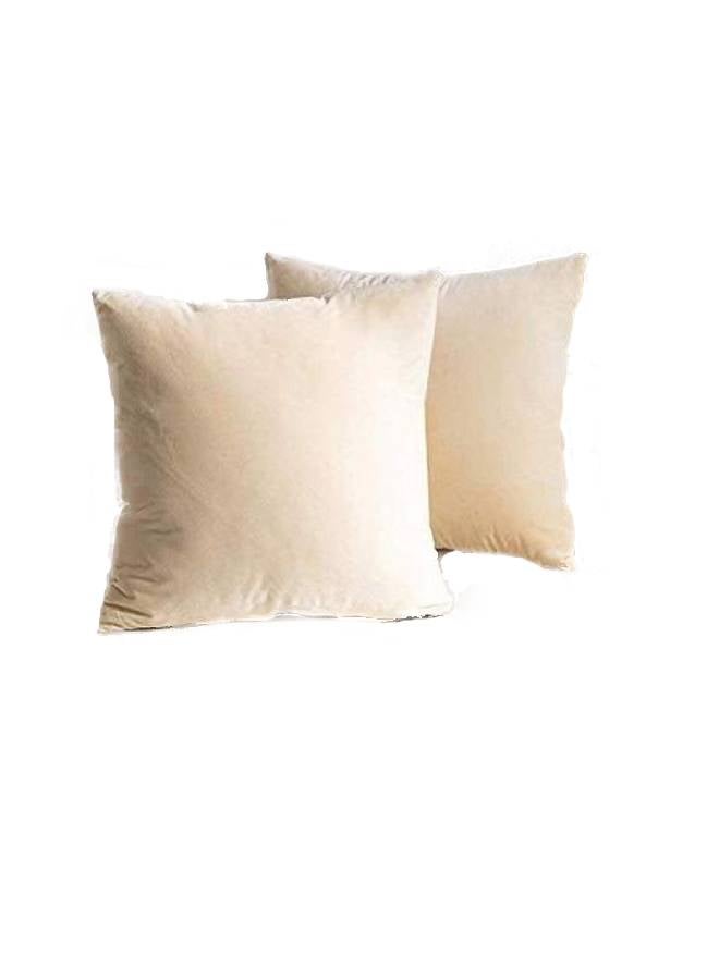 بينيفت طقم وسائد ديكور مخملية مكون من قطعتين بيج 40x40سم - Image 1