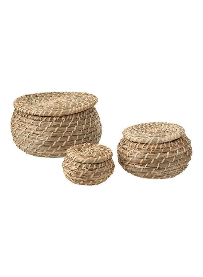 طقم مكون من 3 صناديق مع غطاء - الأعشاب البحرية بني