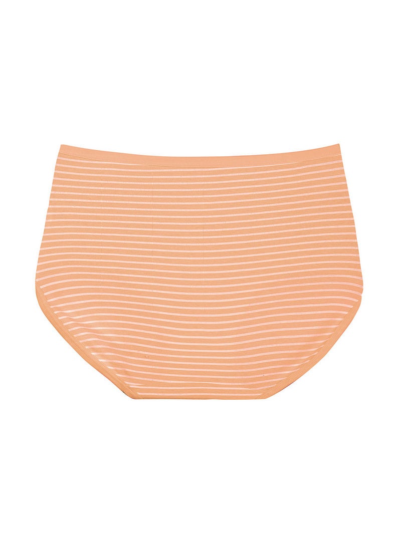 hush-hush mermaid Large Striped Pattern Brief Beige - Image 3