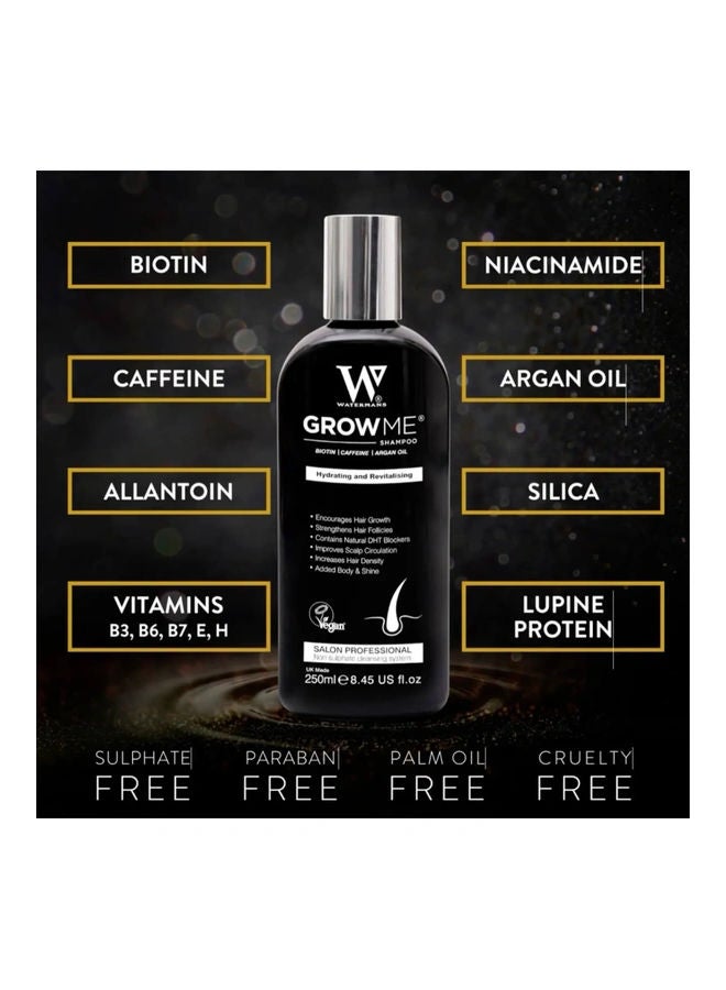 Watermans Hydrating & Revitaising Shampoo 250ml  - Image 3